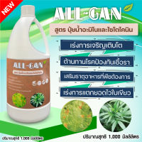 ปุ๋ยน้ำอะมิโนและไซโตไคนิน1000ML. ต้านทานโรคป้องกันเชื้อรา เร่งการแตกยอด ALL GAN เสริมธาตุอาหาร เร่งการเจริญเติบโต