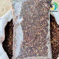 แบ่งขาย 200 กรัม Black Millet  มิลเล็ตดำ อาหารเสริมสำหรับนก ฟิ้นซ์ ซีบร้า นกเขาเล็กชวา และแฮมสตอร์