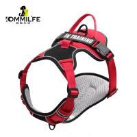 【LZ】 Nylon Dog Harness Personalized Reflective Dog Harness Vest Breathable Adjustable Pet Harness Leash For Small Medium Large Dogs