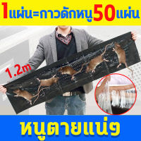 Hebang กาวดักหนู กาวดักหนูขนาดใหญ่ 120*28cm ยาวและกว้างขึ้น กาวเหนียวแน่น ดักหนูอย่างง่ายหนูสัมผัสแล้วก็หนีไม่พ้น ตักได้ ใช้ซ้ำได้ กันน้ำและกันความชื้น กาวถาดดักหนูสำเร็จรูป แผ่นกาวดักหนู ที่ดักหนู กับดักหนู อุปกรณ์ดักหนู แผ่นกาวดักแมลง แผ่นดักหนู