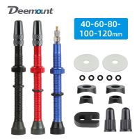 Deemount 2PCS Bicycle Tubeless Tire Presta Valve Brass Core Optional Brass Alloy Stem 40/60/80/100/120mm W/ Alloy Cap Tool