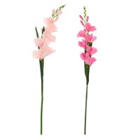 【✆New✆】 gan525815844814814 2ชิ้น/ชุดพืชเทียมดอกไม้ดอกไม้งานแต่งงาน Gladioli Gladiolus ลำต้น