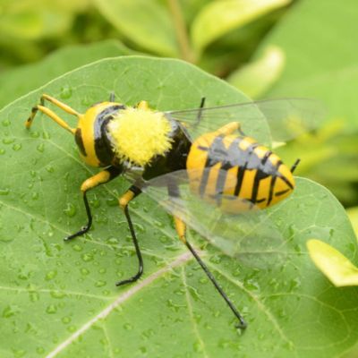 รูปปั้นสัตว์แมลงผึ้งธรรมชาติสีสันสดใส3ชิ้น/เซ็ตรูปปั้นสัตว์จำลองแม่เหล็กตู้เย็นที่มีสีสันลานกลางแจ้งของตกแต่งขนาดเล็ก