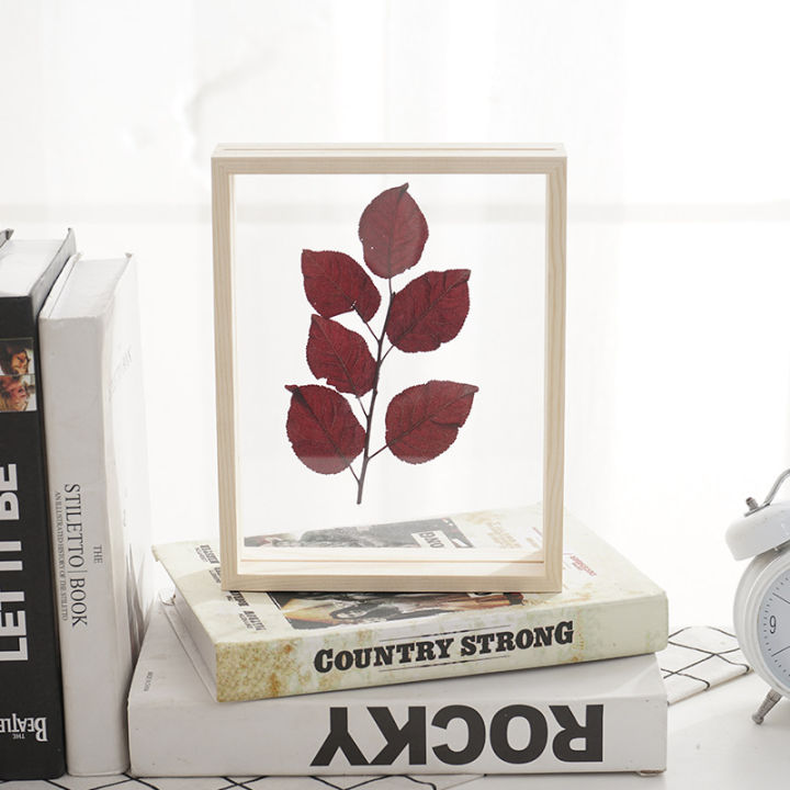 ตัวอย่างพืชไม้กระจกด้านข้างสองชั้นสุดสร้างสรรค์กรอบรูปสีไม้กรอบรูปทึบโปร่งใสกรอบรูป-huilinshen