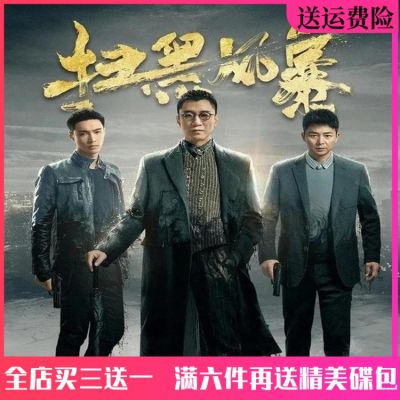 📀🎶 High-definition anti-corruption crime solving TV drama car home DVD disc anti-crime storm dvd Sun Honglei