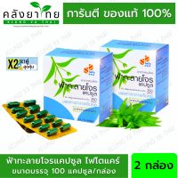 Set คู่ Phyto Care ฟ้าทะลายโจรแคปซูล 350 mg. ไฟโตแคร์ GPO ฟ้าทะลายโจรองค์การเภสัชกรรม 100 แคปซูล/กล่อง