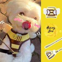 【jw】♀ Ins New Dog Chest Cartoon and Back Set Outdoor Walking Leash Small Harness