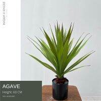 ต้นอากาเว่ - Agave plant 60 CM ต้นไม้ปลอมเกรดพรีเมี่ยมเพื่อการตกแต่ง ต้นไม้ประดิษฐ์ สไตล์ลอฟ โมเดิร์น มินิมอล Premium Artificial Plant by Madam Khajee