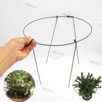 5pcs 10pcs Round Metal Garden Veg Flower plant Stand Support Stake holder Climbing Orchard Fixing Rod Gardening Bonsai Tool 30cm YB23TH