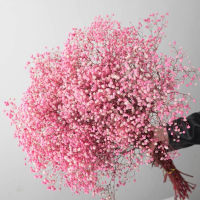 ธรรมชาติสดแห้งดอกไม้ที่เก็บรักษาไว้ Gypsophila Paniculata,ลมหายใจของทารกช่อดอกไม้ของขวัญสำหรับตกแต่งงานแต่งงาน,วาเลนไทน์