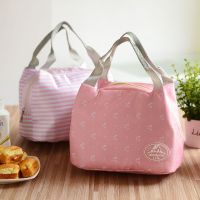 Blue Pink Striped Dot Portable Lunch box Bag Thermal Insulated Cold keep Food Safe Bow Stripe warm Lunch bags For Girls Women