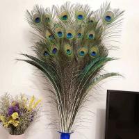 ✷ feathers and real feathers home decorations large living room peacock vases