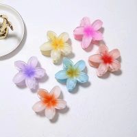 [hot]▧  Muweordy Plumeria Hair Claw Clip Korean Accessories