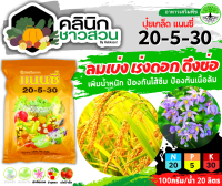 ? แนนซี่ 20-5-30 (ปุ๋ยเกล็ดผง) บรรจุ 1กิโลกรัม เพิ่มปริมาณแป้ง เพิ่มความหวาน เพิ่มขนาดและสีสัน