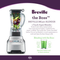 Ratika | เครื่องปั่นสมูทตี้ Breville BBL910