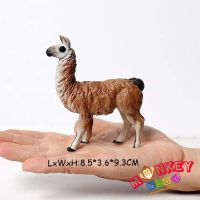 Monkey Toys - โมเดลสัตว์ Llama ลามา ขนาด 9.50 CM (จากหาดใหญ่)