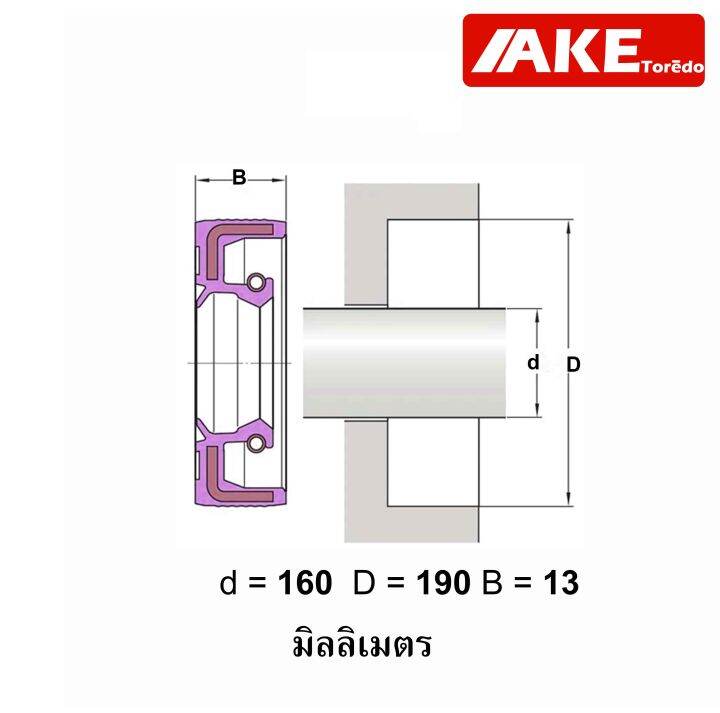 tc160-190-13-oil-seal-tc-ออยซีล-ซีลยาง-ซีลกันน้ำมัน-ขนาดรูใน-160-มิลลิเมตร-tc-160-190-13-โดยake