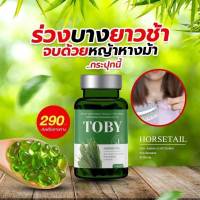 โทบี้ ฮอร์สเทล วิตามินบำรุงผม วิตามินบำรุงเส้นผม TOBY HORSETAIL