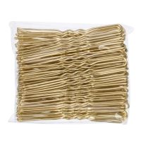 Blonde Bobby Pins,500Pcs U Shaped Hair Pins Gold/Black/Brown/Sliver Hair Pins for Buns for Women Girls (2/2.4 inch)