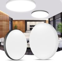 ZZOOI Ultra Thin LED Ceiling Lamp 12W 24W 36W 48W Modern Panel Ceiling Lights LED Smart Radar Sensor Light For Living Room Ktchen