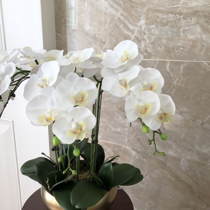 1-set-high-grade-orchids-arrangement-latex-silicon-real-touch-big-size-luxury-table-flower-home-hotel-decor-no-vase