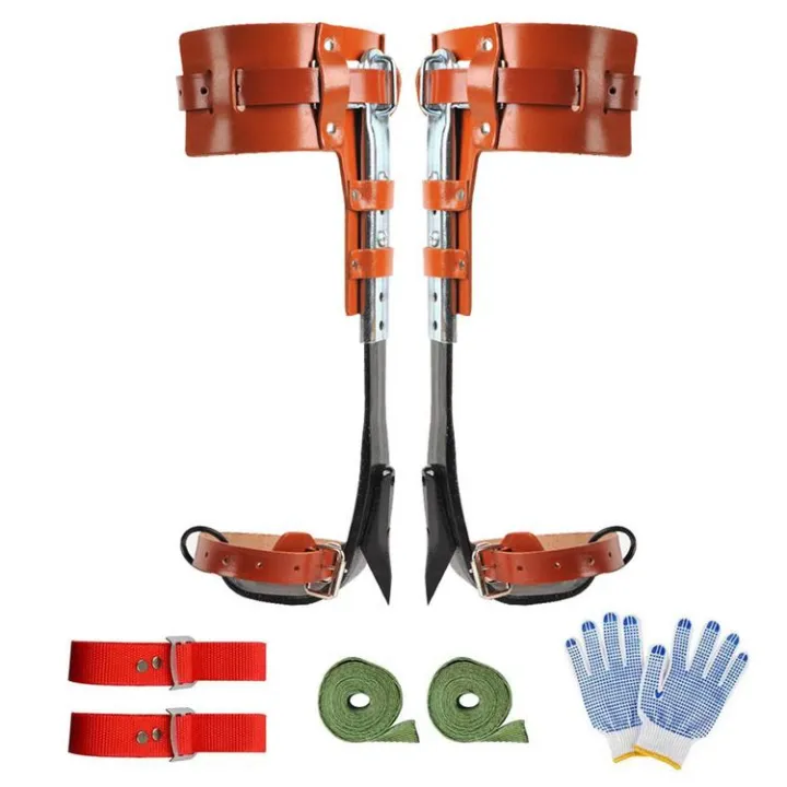 Adjusted Tree Climbing s Adjustable Tree Climbing Tree Climbing