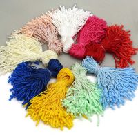 Polyester Tags Clothes Labels Rope String Cord Plastic Colorful Handmade Hang Tag for Hats Garment Accessories 100pcs Labels