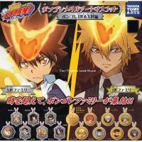 Takara Tomy Katekyou Hitman Reborn Metal Keychain Gashapon T-ARTS พวงกุญแจเหรียญเหล็ก ครุพิเศษจอมป่วนรีบอร์น แท้