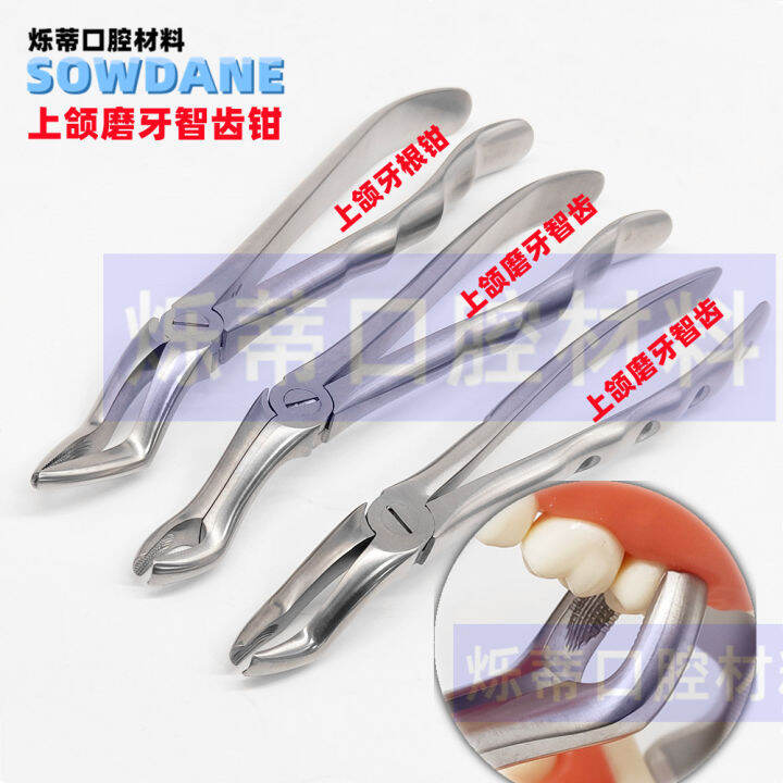 Dental dental forceps stainless steel maxillary wisdom tooth mandibular