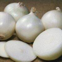 100 เมล็ด เมล็ดหอม่ สายพันธุ์ หอมใหญ่ Octavia  อัตราการงอก 70-80% Onion seeds