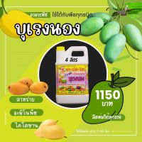 พร้อมส่ง? บุเรงนอง ขนาด 4 ลิตร อะมิโนพืช+สาหร่าย+ไคโตซาน+น้ำตาลทางด่วน อาหารพืช ใช้ฉีดพ่นทางใบ ฉีดพ่น มะม่วง