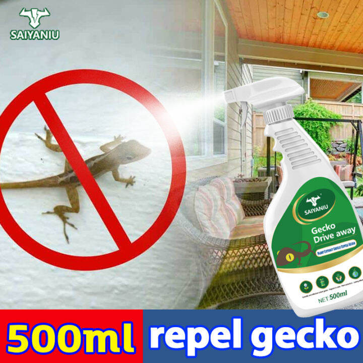 Geckos are gone！Lizard repellent Lizard killer spray Gecko killer