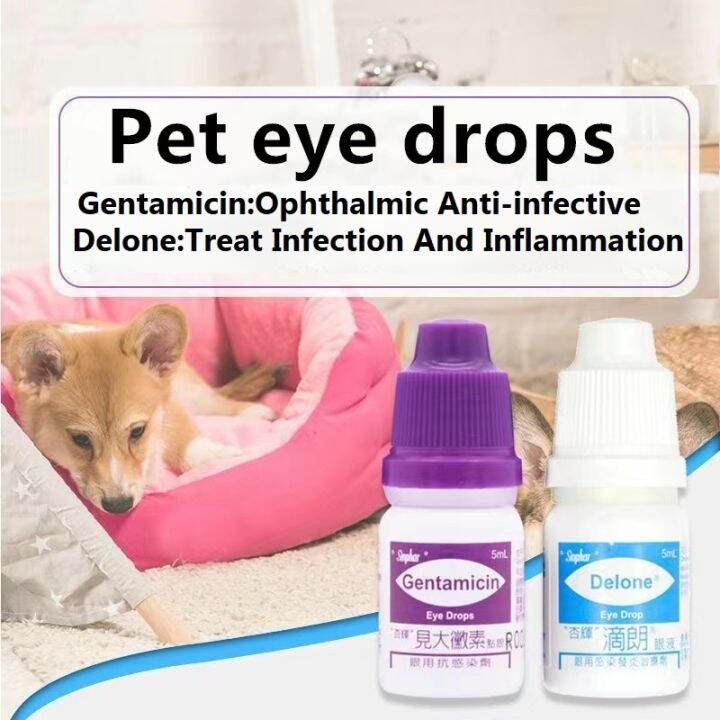 Sinphar Gentamicin Eye Drops for Pets 5ml Lazada PH