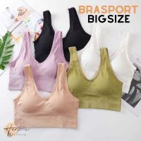 สปอร์ตบรา คนอ้วน ชุดชั้นในสาวอวบ สาวอ้วน Sport Bra เสื้อในไร้ขอบ เสื้อในไร้โครง ชุดชั้นในถนอมทรง ใส่สบาย