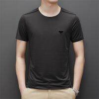 [COD] mens round neck short-sleeved T-shirt middle-aged ice silk quick-drying half-sleeved high-end 2022 new trendy summer