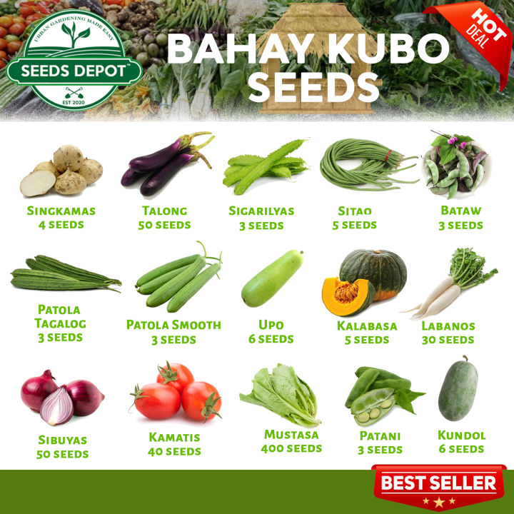 Bahay Kubo Vegetable Seeds - Sigarilyas Talong Sitao Bataw Patani ...