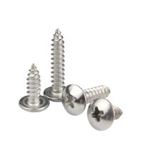 Marine Grade A4 316 Stainless Steel M3 M4 M5 M6 Large Round Pan Head Phillips Self Tapping Screw Cross Recessed Screws Bolts