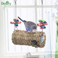 Dolity บ้านนกฮัมมิงเบิร์ดแบบแขวนนกแก้วพาราคีตของเล่นสำหรับสนามหญ้าลานสนามหญ้า