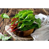 ต้นกล้าสวิสชาร์ด(Swiss chard)    พร้อมปลูก  กล้าละ 12บาท