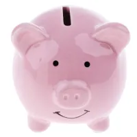 Baby Ceramic Piggy Bank Coin Money Cash Collectible Saving Box Pig