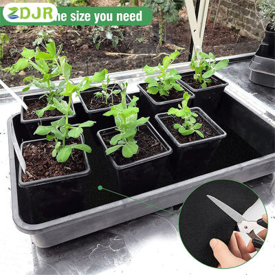 แผ่นที่รดน้ำผักอัตโนมัติฝอย ZDJR มีฉลากพืช10ชิ้นแผ่นซับเหงื่อสำหรับปลูกในกระถางกลางแจ้งในร่ม