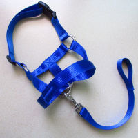 Practical Dog Halter Anti Bite Traction Rope No Pull Nylon Head Collar Adjustable Leash Gentle Durable Outdoor Training