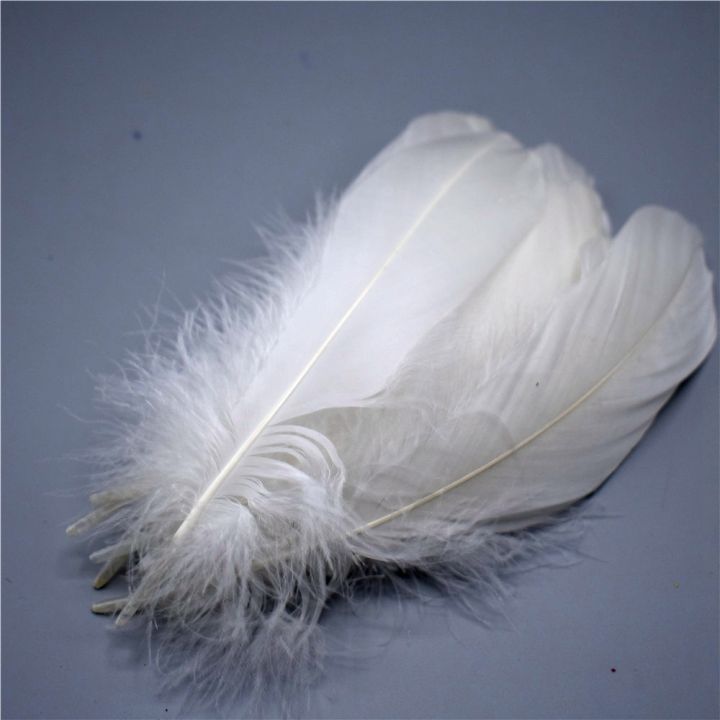 wholesale-feathers-for-crafts-5-7inch-12-18cm-decoration-pheasant-feather-plumas