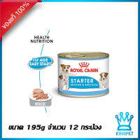 หมดอายุ 11-2024 (12กระป๋อง) Royal canin Mini starter Mouse อาหารเปียกสำหรับแม่สุนัข และลูกสุนัข