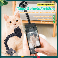 ไม้เซลฟี่ ไม้กันสั่น สำหรับสัตว์เลี้ยง อุปกรณ์สัตว์เลี้ยง ถ่ายรูปสัตว์เลี้ยง พับได้มา พท์มุนได้ 360  ขนาดเล็กและพกพาสะดวก