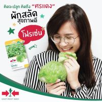 โฟรเซ่น ผักกาดแก้ว ศรแดง ใบกรอบ ทานอร่อย ?