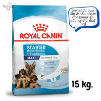 ?หมดกังวน จัดส่งฟรี ? Royal Canin Maxi Starter  อาหารสุนัข แบบเม็ด สำหรับแม่สุนัขตั้งครรภ์และลูกสุนัขแรกเกิด พันธุ์ใหญ่ ขนาด 15 kg. ✨ส่งเร็วทันใจ