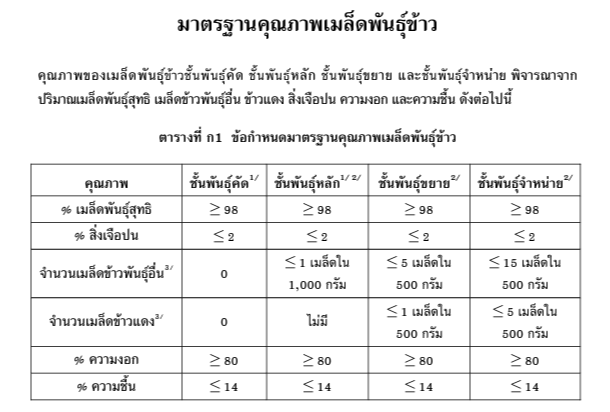 กข15-เมล็ดพันธุ์ข้าวหอมมะลิ-กข15-พันธุ์ข้าวหอมมะลิ-ดอ