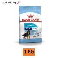 Royal Canin Maxi Puppy 1 KG สุนัข อาหารลูกสุนัข พันธุ์ใหญ่ สุนัขพันธุ์ใหญ่ ลูกสุนัข อาหารสุนัข รอยัลคานิน (1 ถุง)