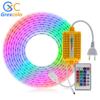 220V LED Strip RGBDouble White+Blue Neon Light Ribbon with Remote Control Flexible LED Tape Waterproof Outdoor LED Light Strip